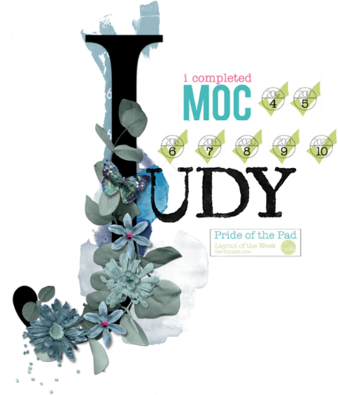 MOC 11 Judy Signature