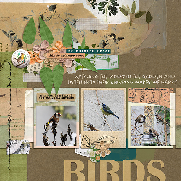 MOC 12 JAN Birds In The Garden