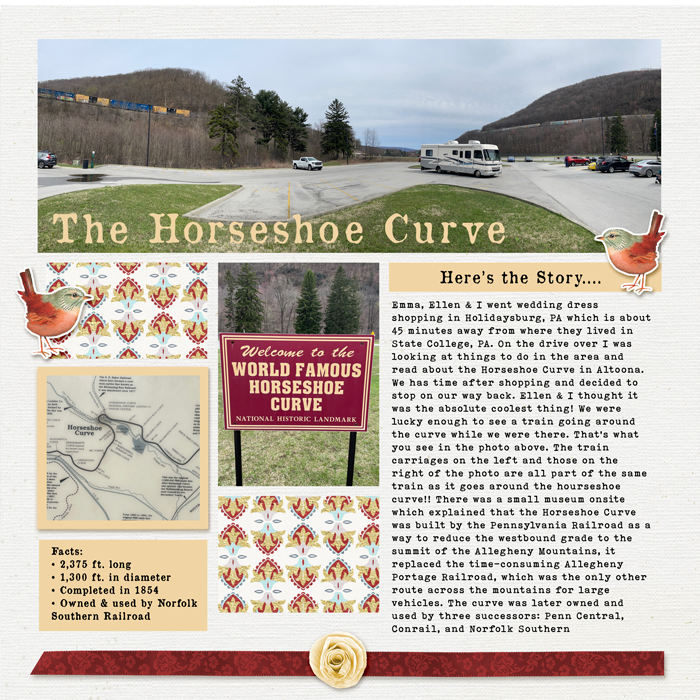 MOC-13-Jan-9-The-Curve.png