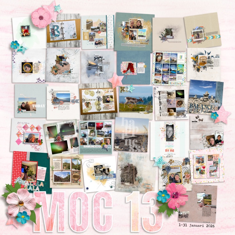 MOC 13 - Layout Collage.jpg
