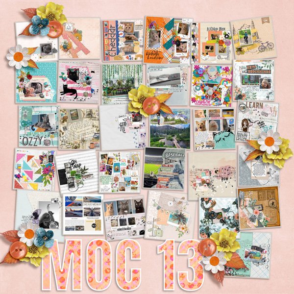 MOC-13-Layouts---angbrey.jpg