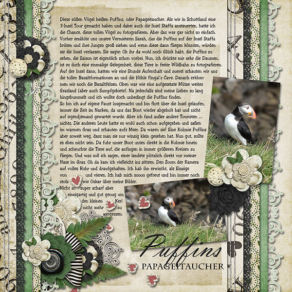 Moc#13_Puffins