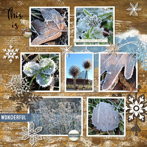 MOC 15 - Repeated element: snowflake