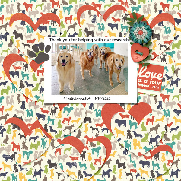 MOC 19 Cut Out Background Web