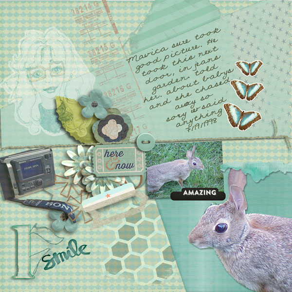moc 19 rabbit