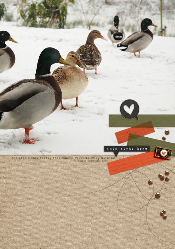 MOC 2018 | 18. Ducks