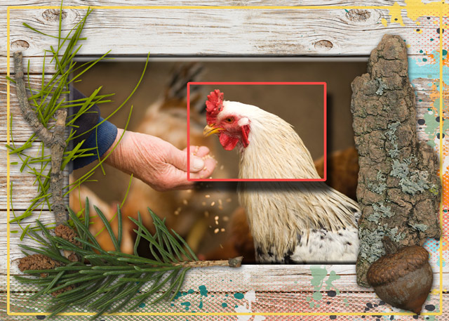 MOC-21_Botanicals-and-Organic