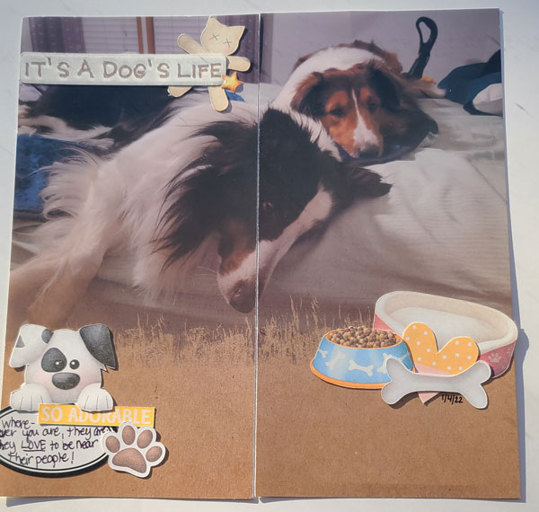 Moc-22-day-4-ka-furbabies-dog