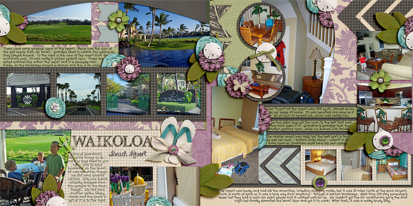 MOC #25 Waikoloa Beach Resort