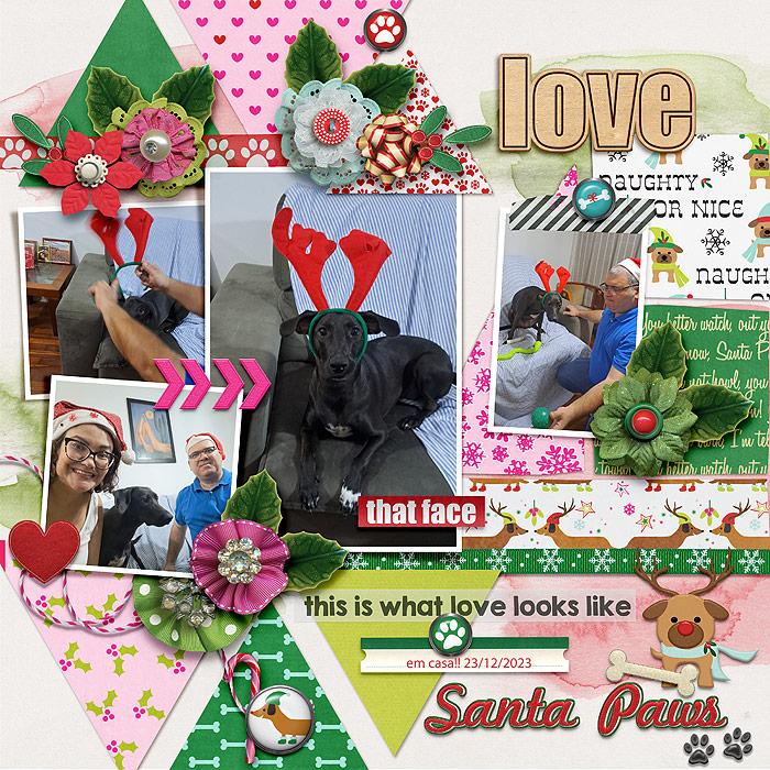 MOC-25_12 (santa paws)