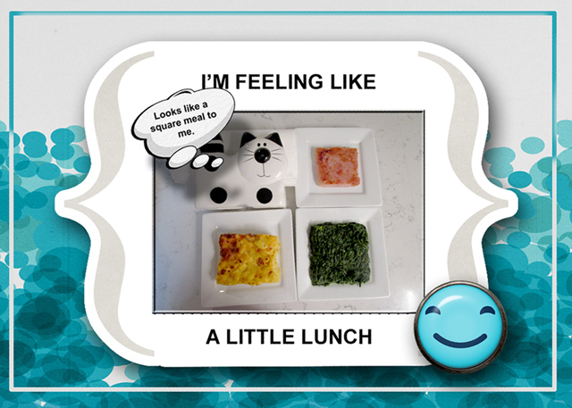 MOC-25_A-Little-Lunch