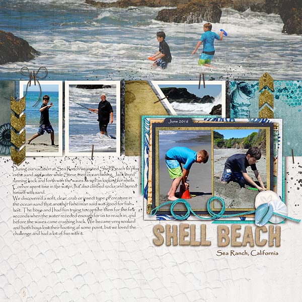 MOC 27: Shell Beach
