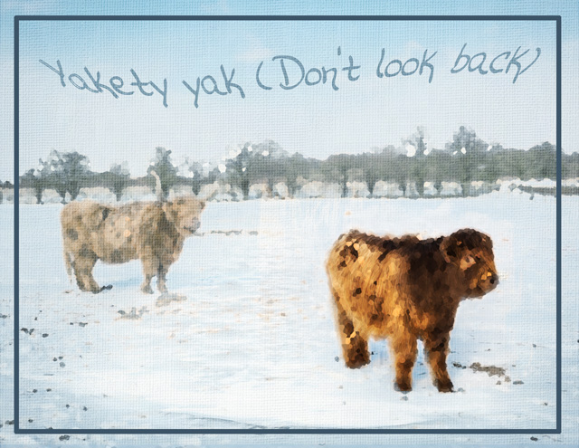 MOC-27_Yakety-Yak