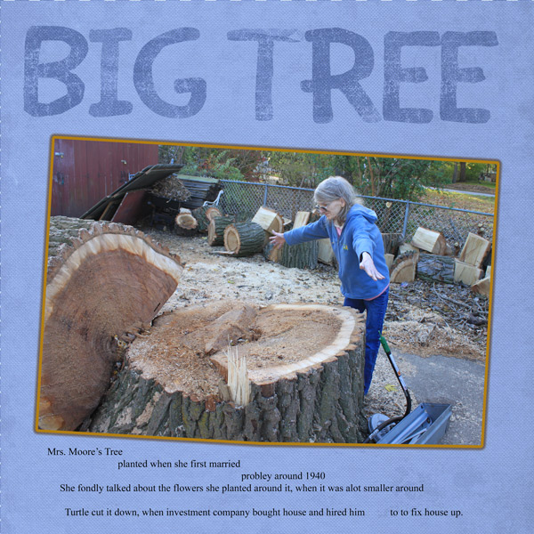 moc 29 big tree