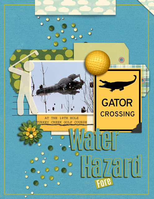 MOC-29_Water-Hazard