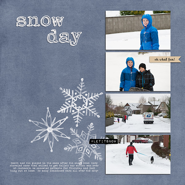 MOC 3 Snowday