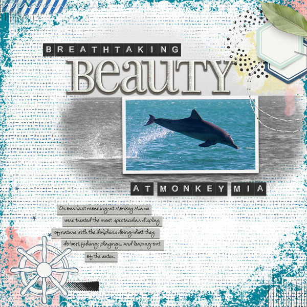 MOC #4 - Dolphin