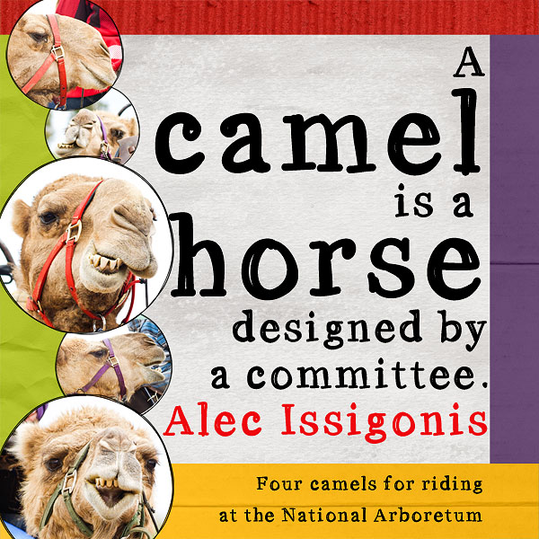 MOC 5 - Book Cover