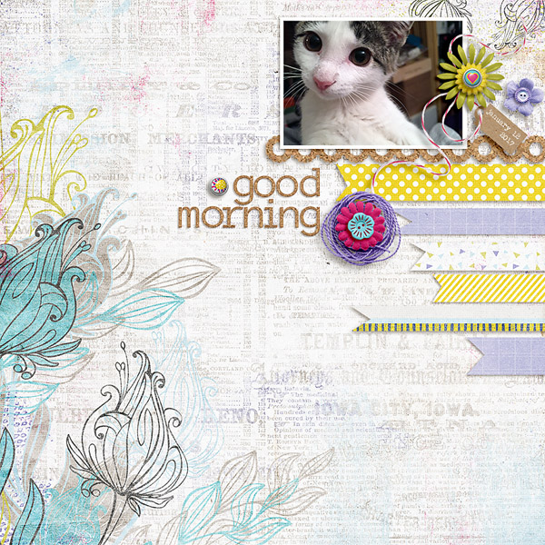 MOC 5 Day 11 Good Morning