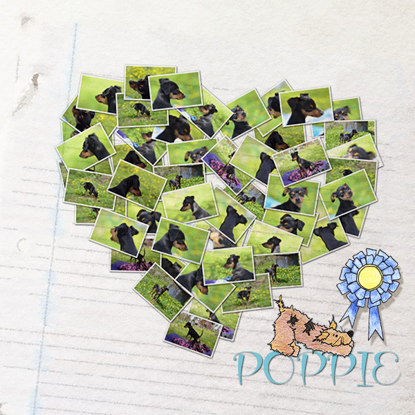 MOC 5 – Day 18 Scraplift Challenge – Poppie Heart