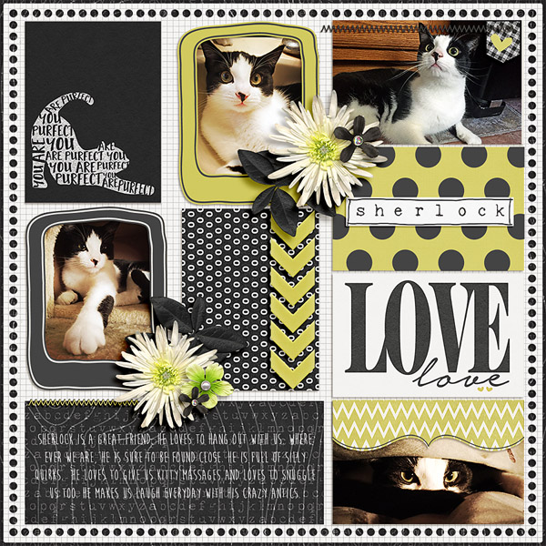 Moc 5 day 26 Purrfect Love