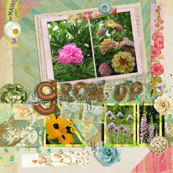 MOC 5 – Day 27 – Grow up