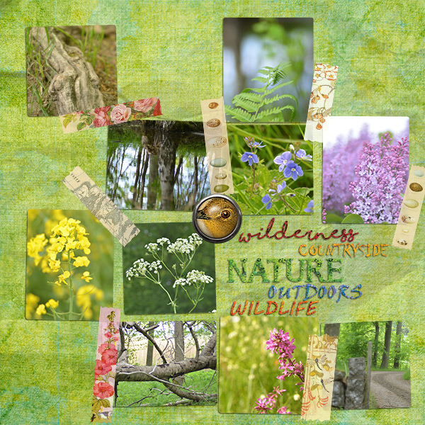 MOC 5 – Day 4 Stylin' Titles - Nature