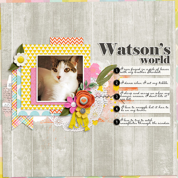 MOC 5 Day 8 Wonderful Watson