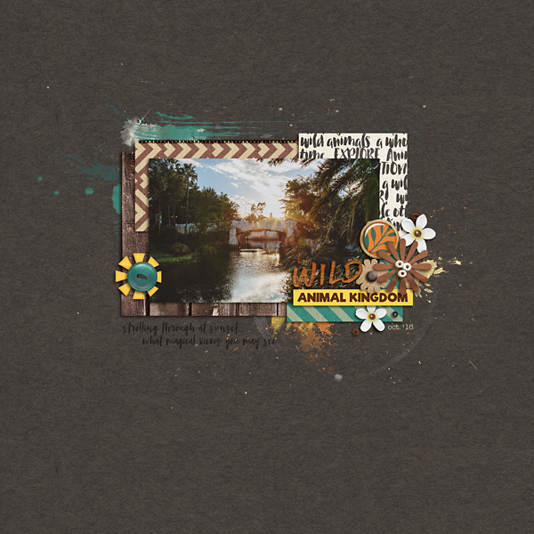 MOC 6:5 | People-less Photo Challenge | Wild Sunset