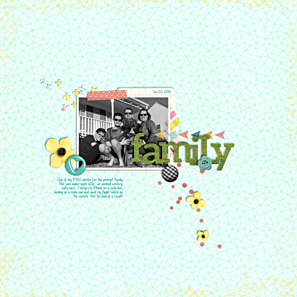 MOC 6.Day 19.Family
