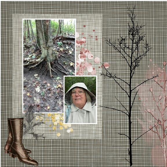 Moc 6  Day 3 Mood Board .