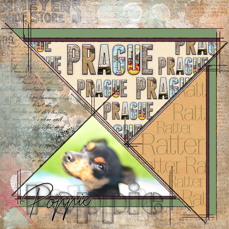 MOC 7 - 10 Shaped Alpha Designs - Prague Ratter