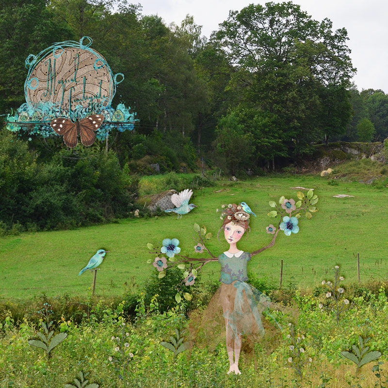 MOC 7 - 25 Use photo as background - Magical Countryside