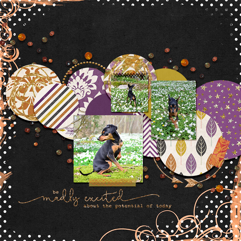 MOC 7 - 28 Combine Two Templates - Madly exited