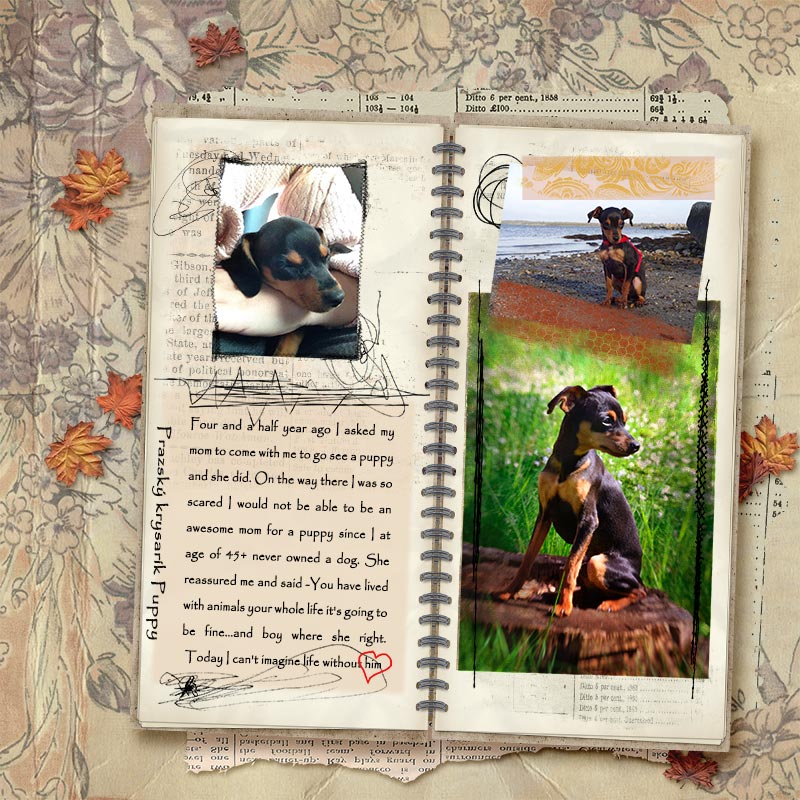 MOC 7 - 31 Traveler's Notebook - Prazský krysarík Puppy