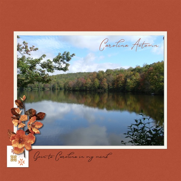 MOC 7 Day 19 - Carolina Autumn