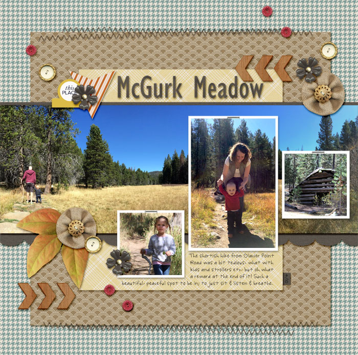 MOC#7 McGurk Meadow