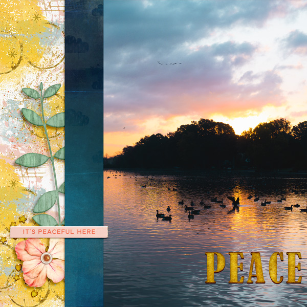 MOC 8.14 Peace