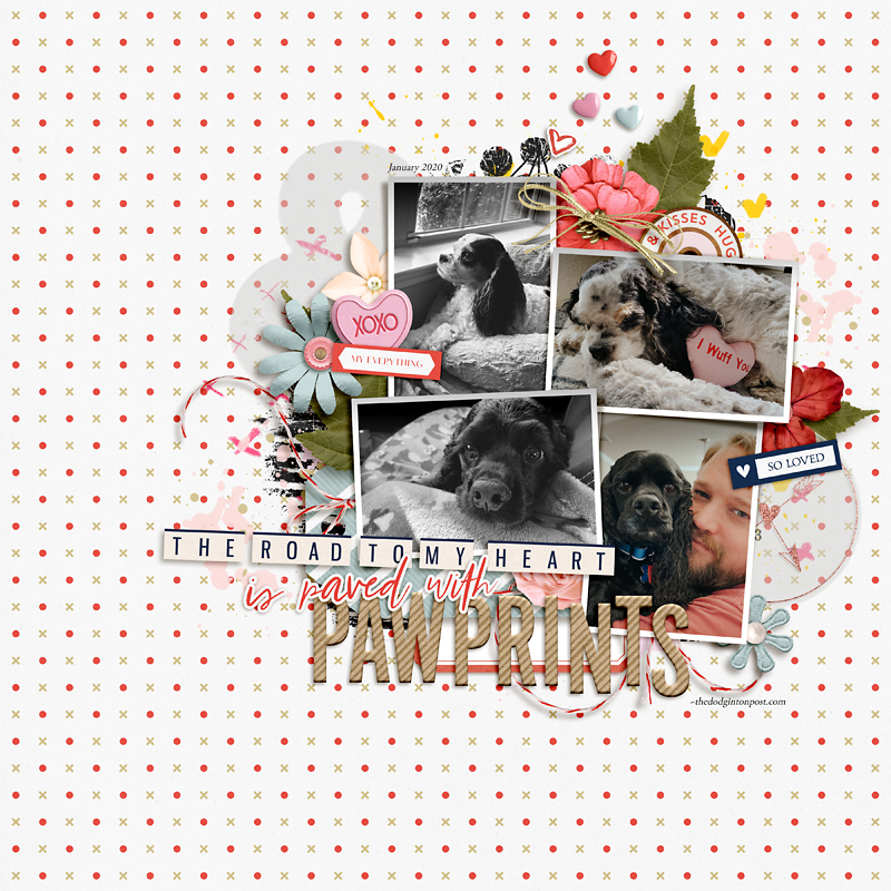 MOC 8-16 Pawprints On My Heart