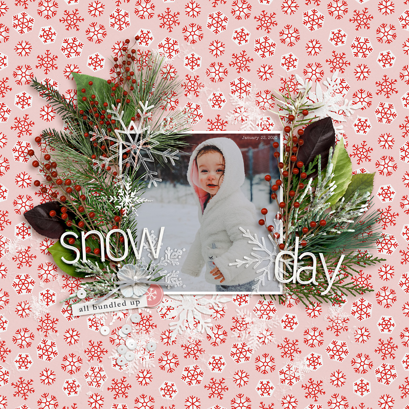 MOC 8-21 Snow Day