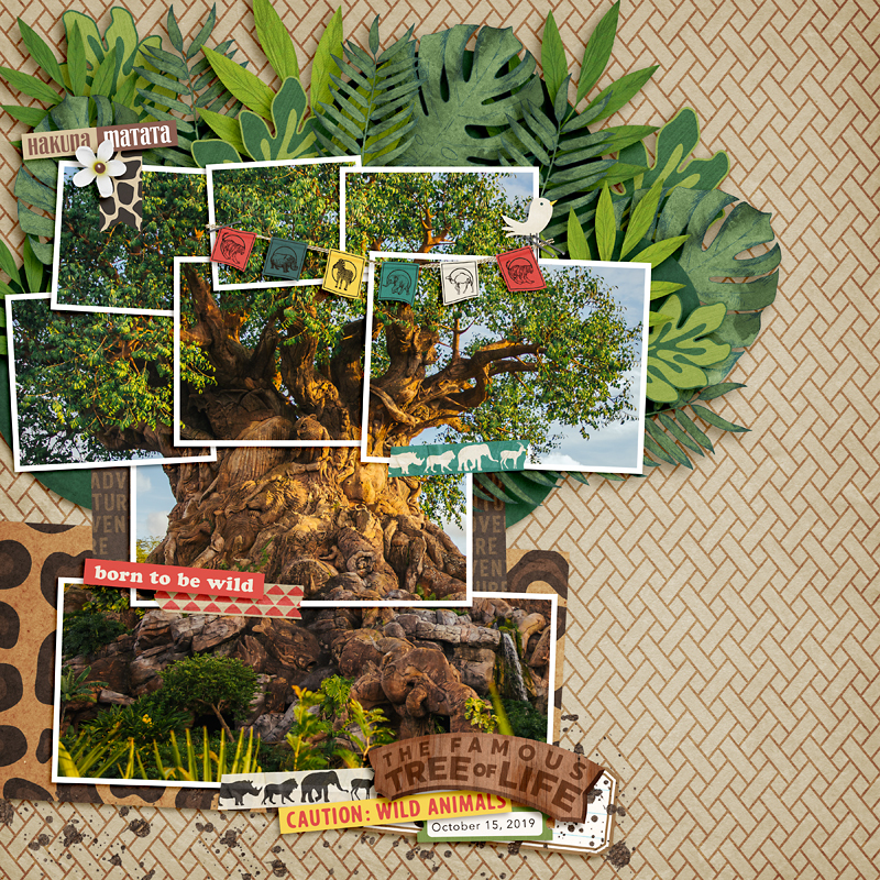 MOC 8-8 The Tree of Life