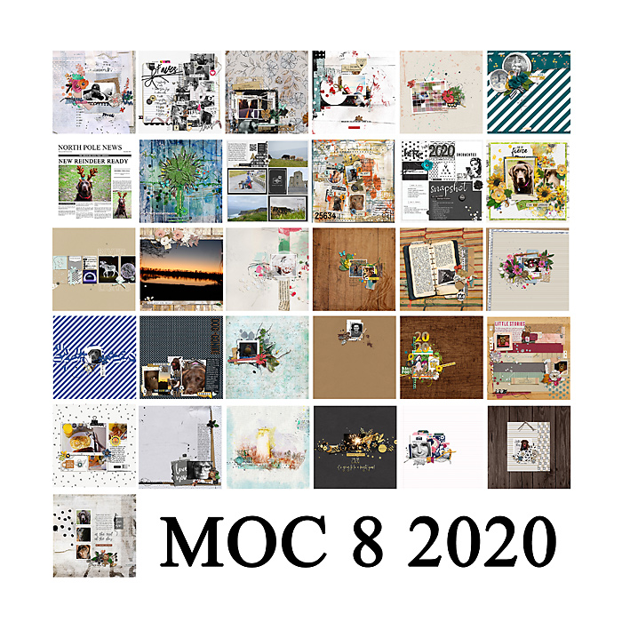 MOC 8 Completed Collage