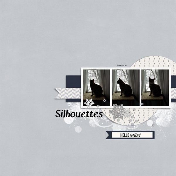MOC 8 Day 14 Silhouettes