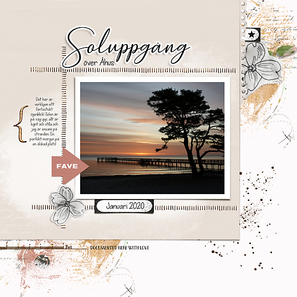 Moc 8 day 14 Soluppgång