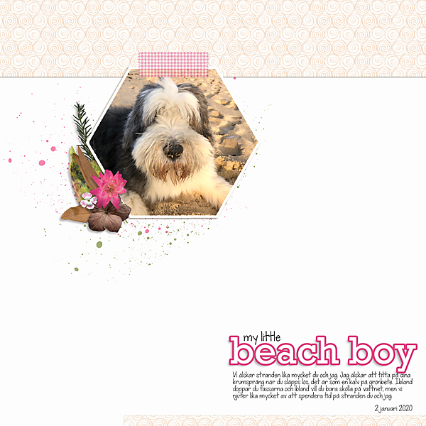 Moc 8 day 21 Beach boy