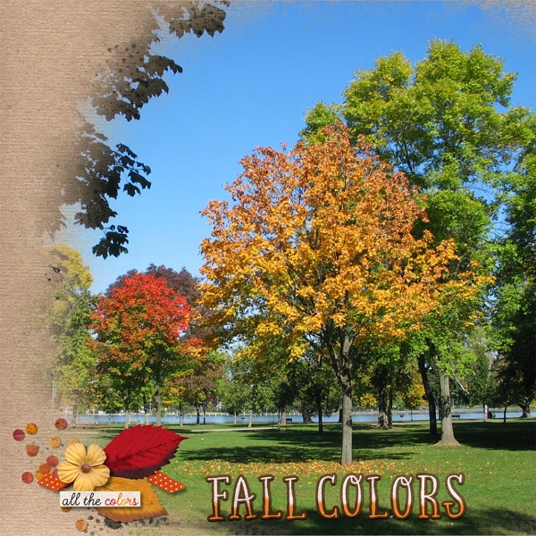MOC 8 Day 23 Fall Colors