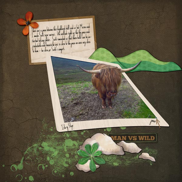 MOC #8 Highland Bull