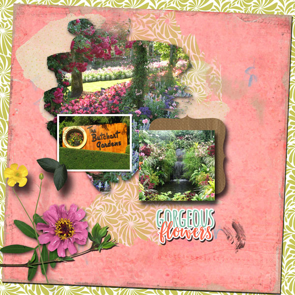 MOC 8 - Jan 21 - Organic Botanicals