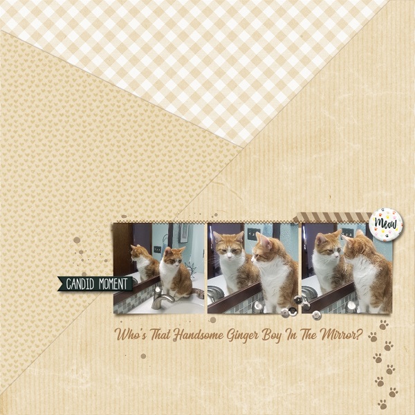 MOC 9-13 Who's That Handsome Ginger Boy In The Mirror?
