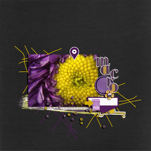 MOC 9: #24 Macro
